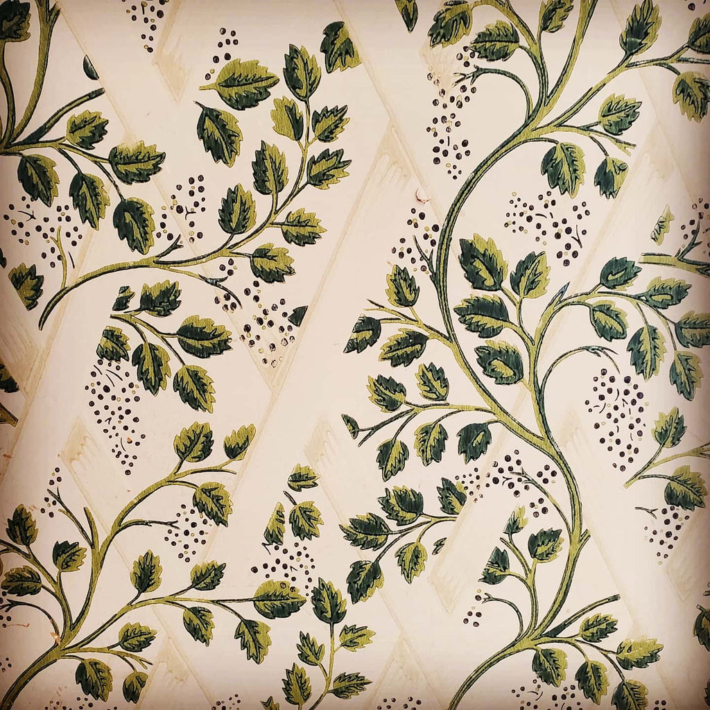 Trellis & Vines Wallpaper Pattern