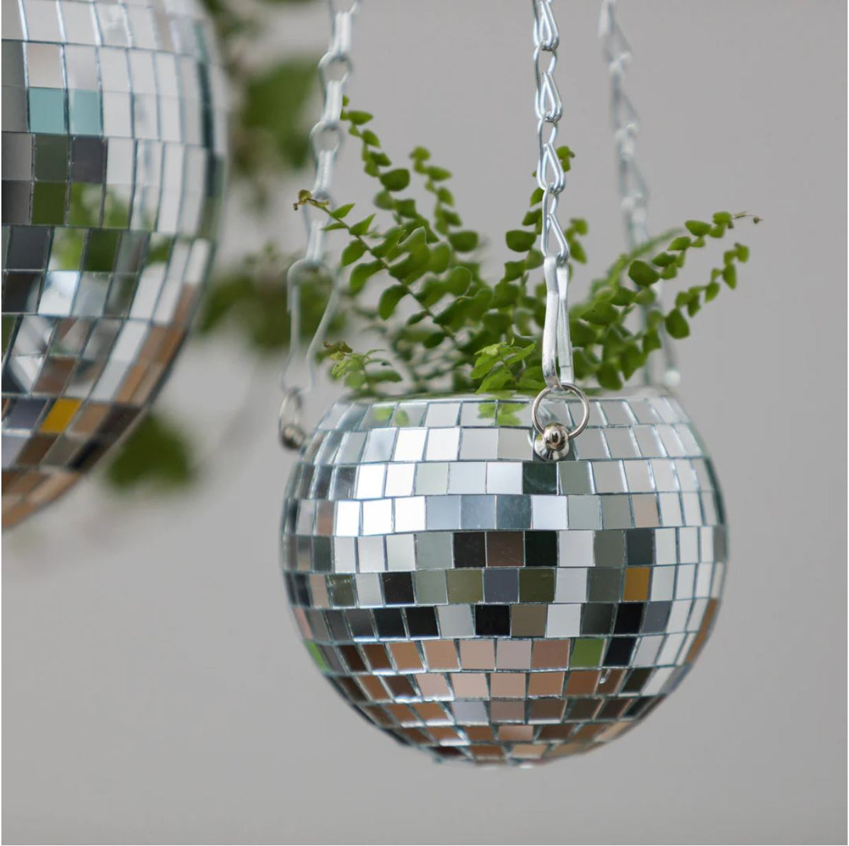 disco plant pot Disco Ball Hanging Planter (4 in) – Newport Restoration Foundation