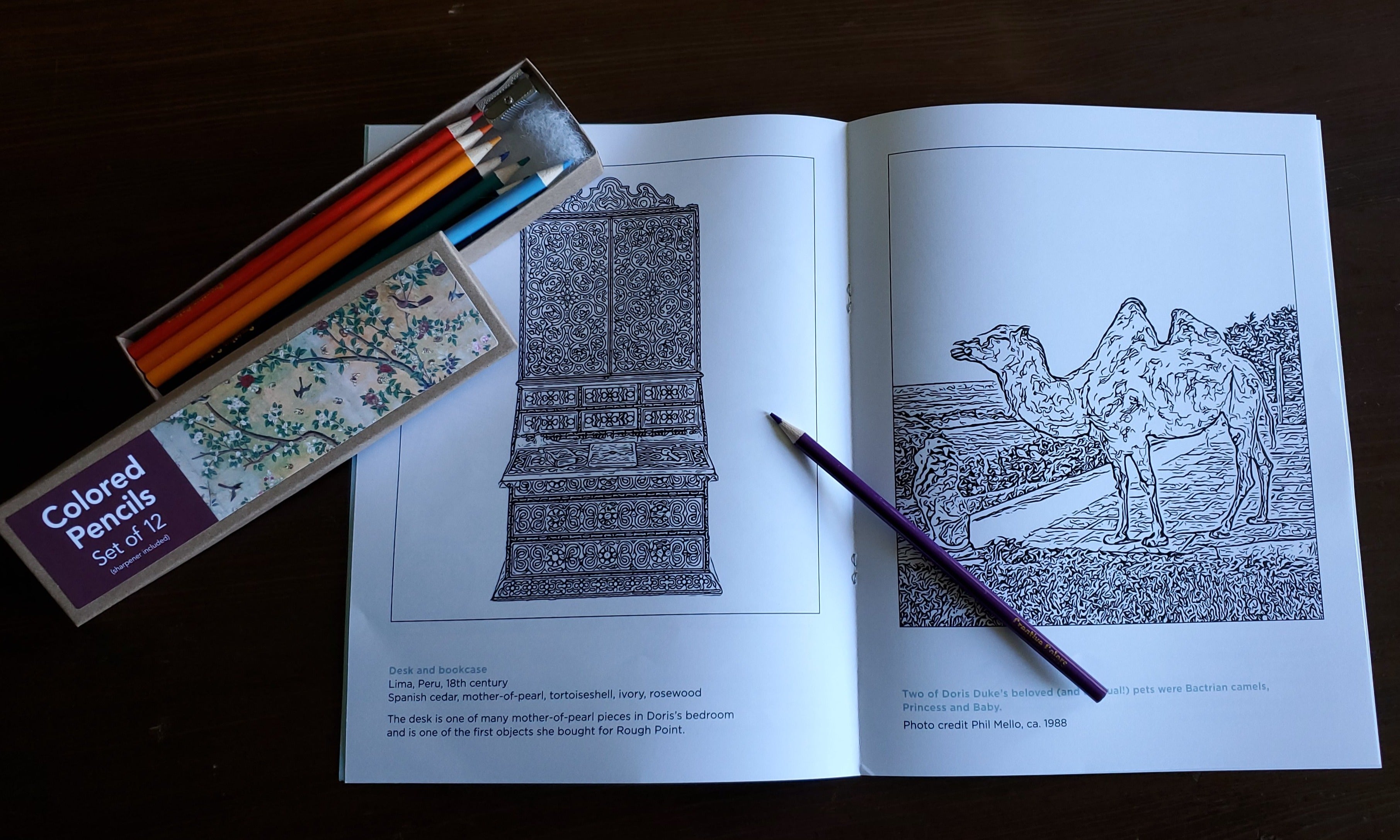 Rough Point Coloring Book